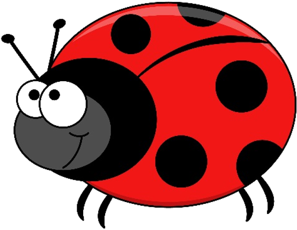 Beetle - Vector Graphics (640x511), Png Download