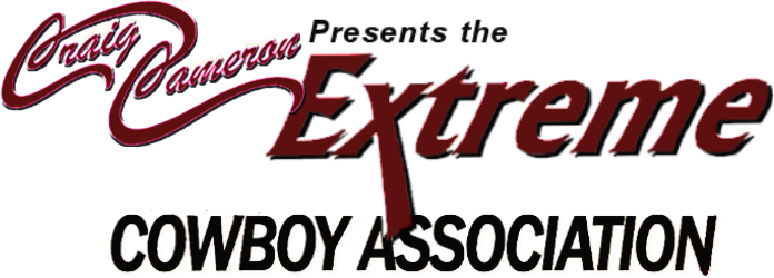 We Want To Thank You For Taking Time To Learn More - Horse (696x250), Png Download