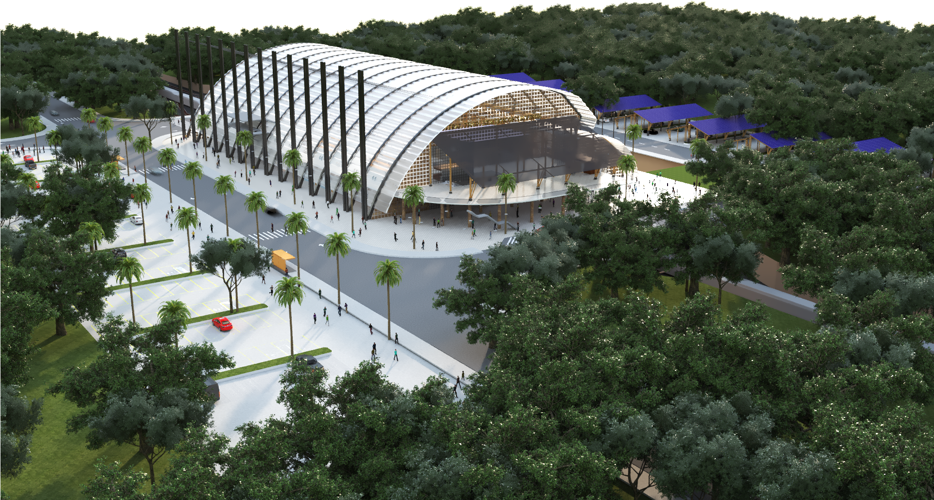 Tree Aerial View Png (1920x1080), Png Download