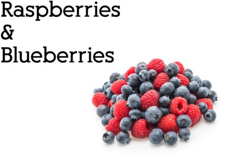 Black Cock Berry Bush - Blueberry (480x339), Png Download