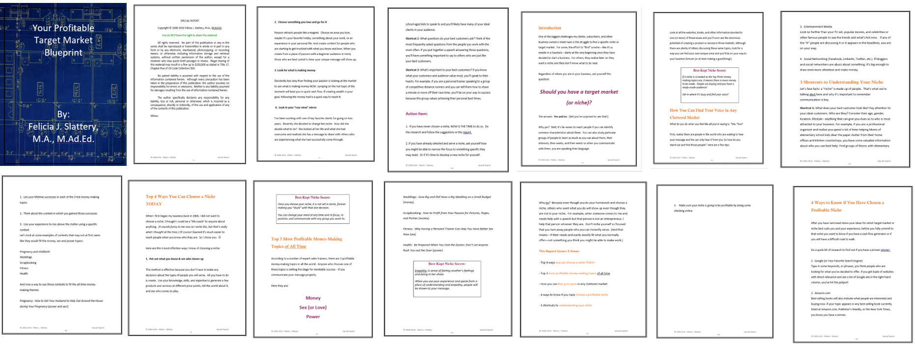 Target Market Bullseye Report Image Felicia Slattery - Brochure (1863x707), Png Download