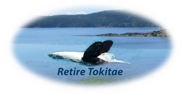 Our Sacred Sea - Logo (606x312), Png Download