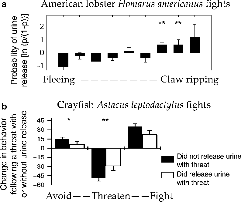 3 Lobsters And Crayfish May Hide Chemical Cues Of Aggression - Lobster (793x666), Png Download