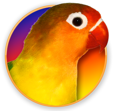 Lovebirds - Lovebird (400x400), Png Download