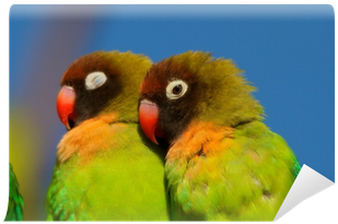 Bird (400x400), Png Download