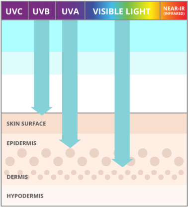 Blue Light Bad For Your Skin - Uv A And Uvb (480x480), Png Download