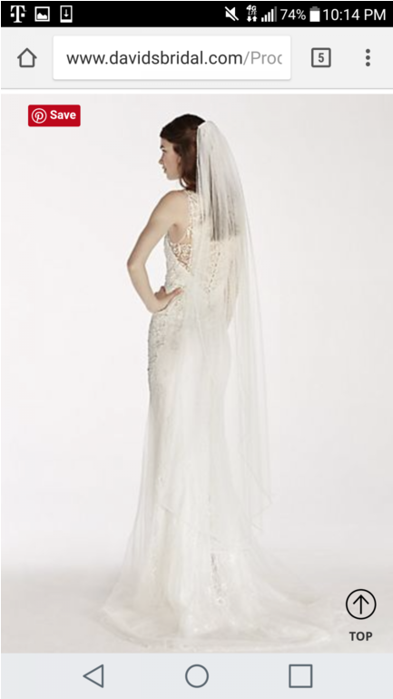 Pin It - David's Bridal 17926v1 Embellished Edge Walking Veil (1024x768), Png Download