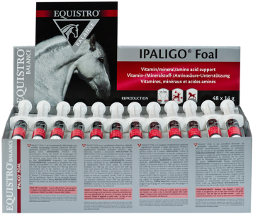 Equistro® Ipaligo Foal - Ipaligo Foal (380x360), Png Download