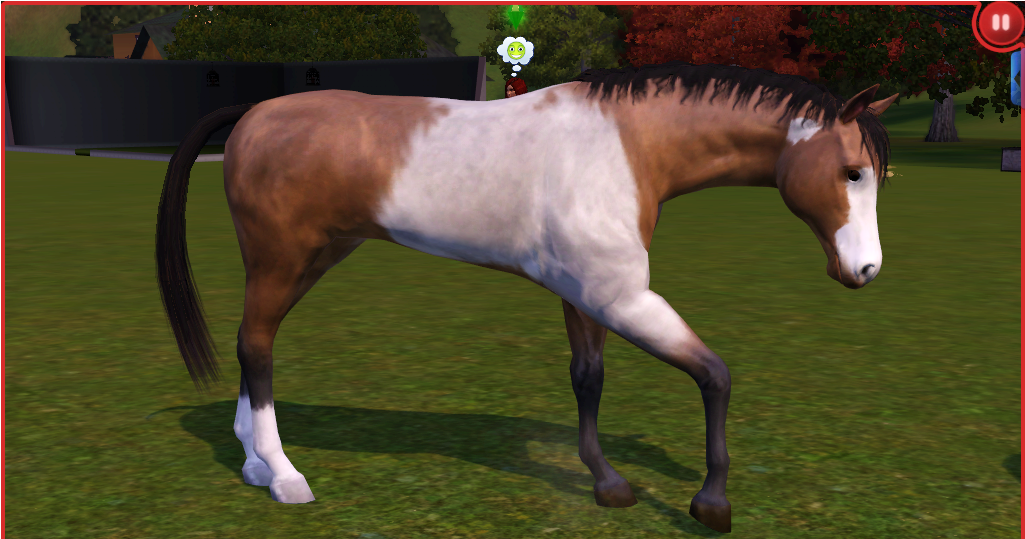 "alright Lets Get Started " Delphine Spent The Rest - Stallion (1024x768), Png Download