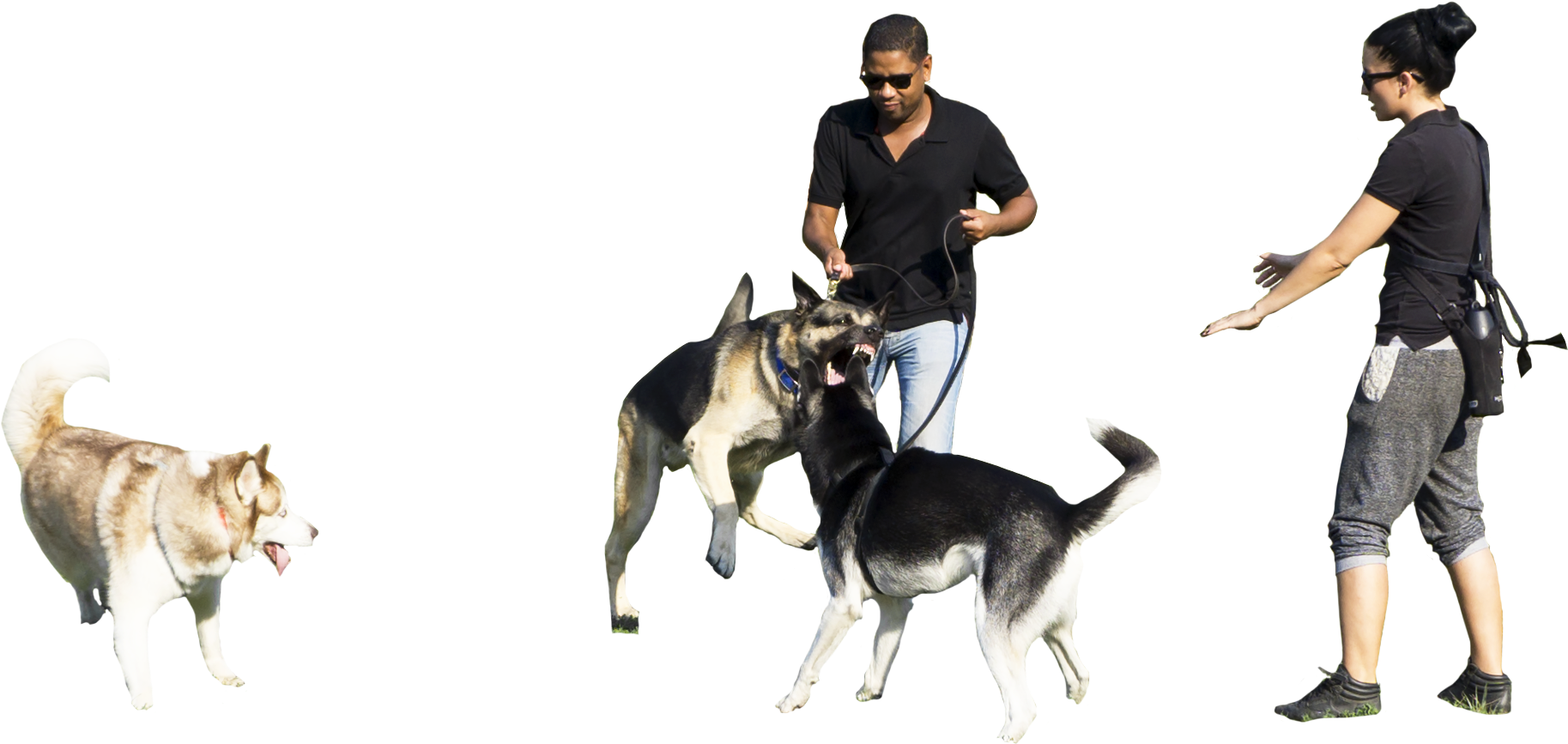 Person Walking Dog Png Download - Dog (1990x1117), Png Download