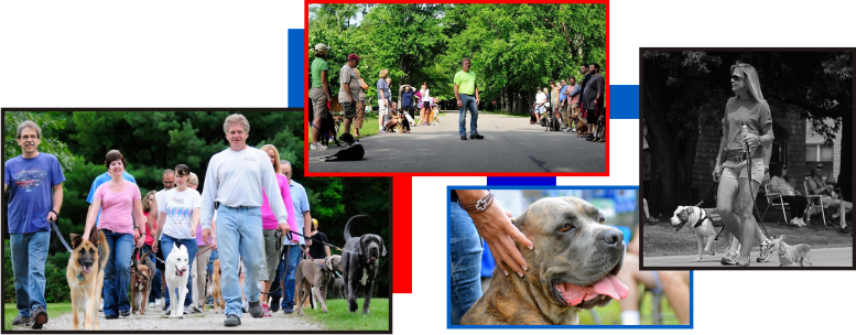 Cleveland (777x304), Png Download