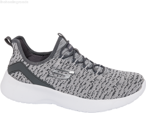 Skechers Lace-up Ladies Trainers, Ladies Trainer, Grey, (500x500), Png Download