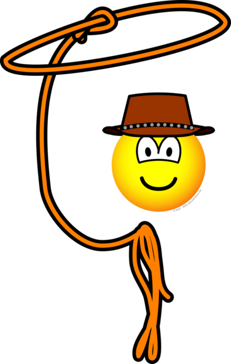 Lasso Clipart Clipart - Emoticon Gif (466x735), Png Download