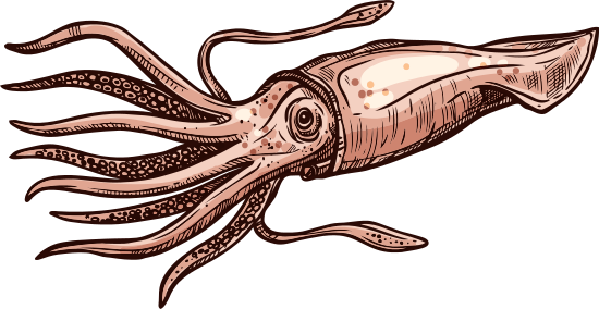Vector Graphics (550x284), Png Download