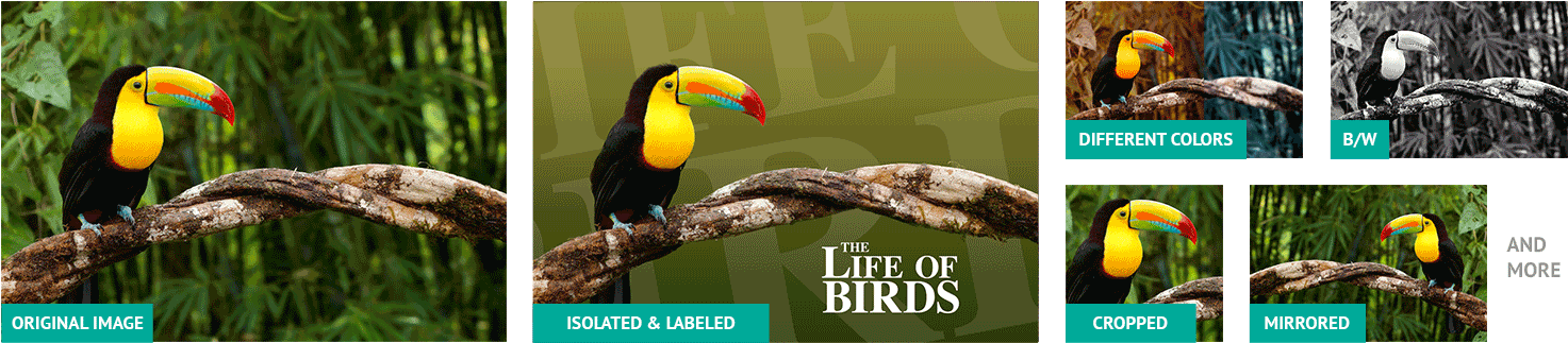 No Matter How Much Your Images Have Been Altered We'll - Toucan (1500x354), Png Download