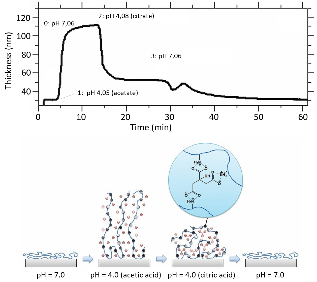 Thin Film Crosslinking - Portable Network Graphics (1260x1129), Png Download