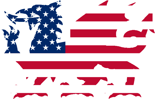 Combined Wales Us Flag - American And Welsh Flag (800x421), Png Download