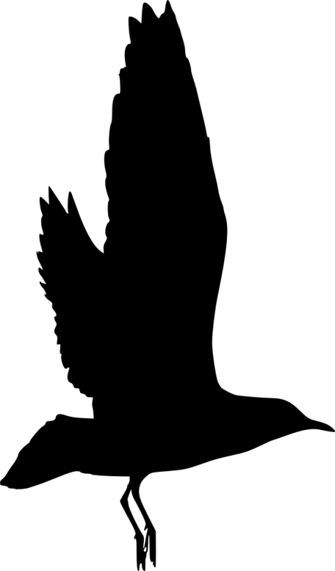 Free Png Bird Silhouette Png Images Transparent - Silhouette (480x818), Png Download