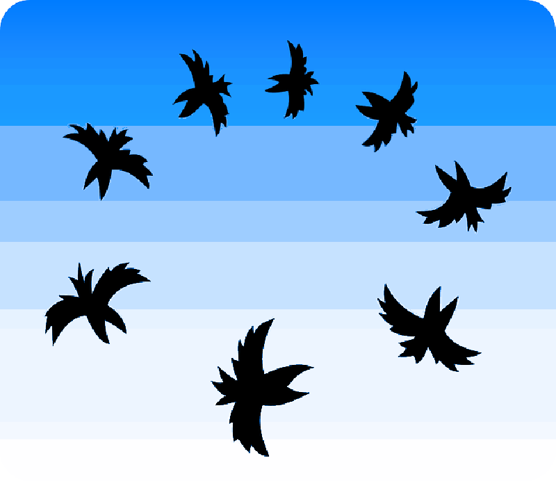 Mb Image/png - Black Birds In The Sky Trucker Hat, White And Black, (800x692), Png Download