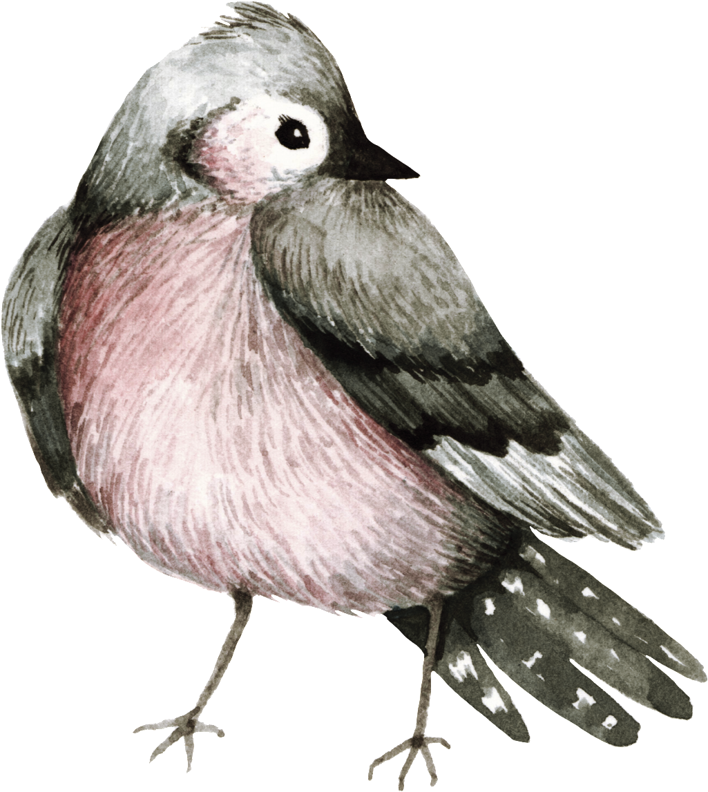 Practical Watercolor Bird Decoration Transparent - Watercolor Painting (1024x1158), Png Download