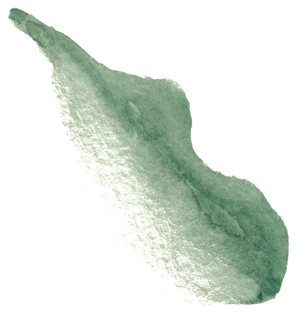 Png Transparente De Ramas Y Hojas Ornamentales De Calabaza - Calabash (1024x1116), Png Download