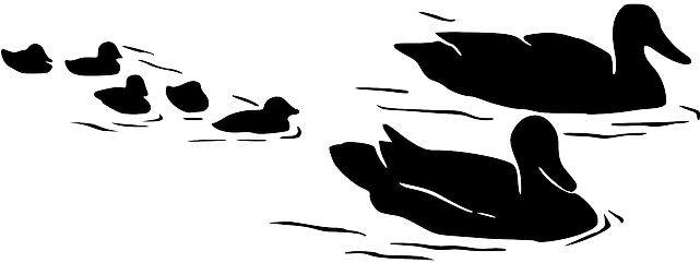 Water, Silhouette, Kids, Mom, Birds, Flying, Swimming - Ducks On Water Silhouette (640x320), Png Download