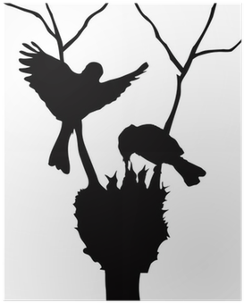 Familias De Aves Siluetas (400x400), Png Download