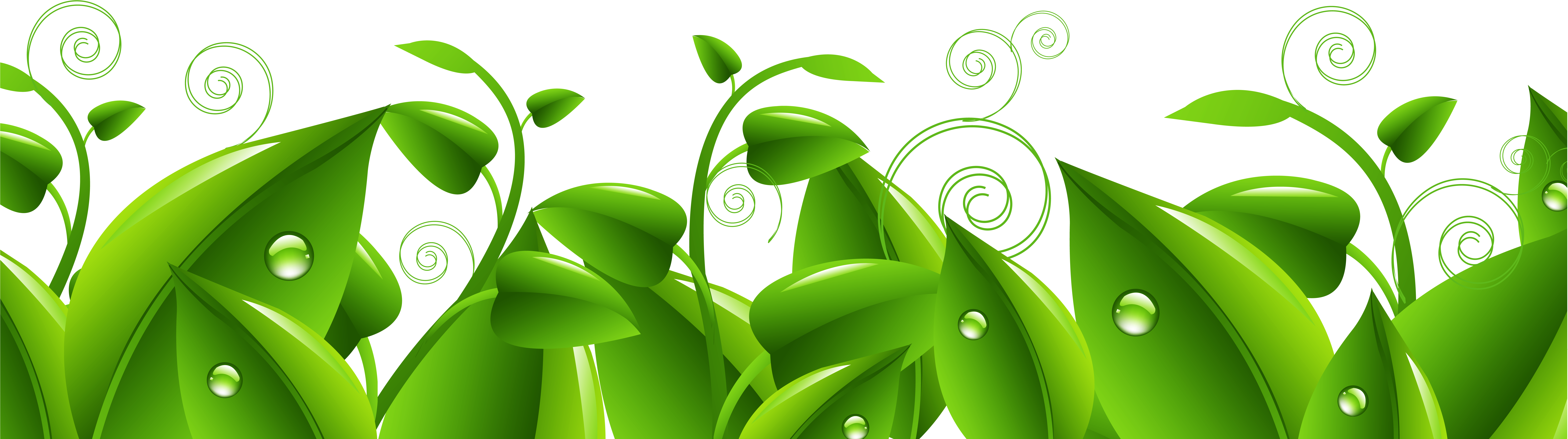 Foliage Clipart Leaves Grass - Grass Leaves Clip Art (9000x2902), Png Download