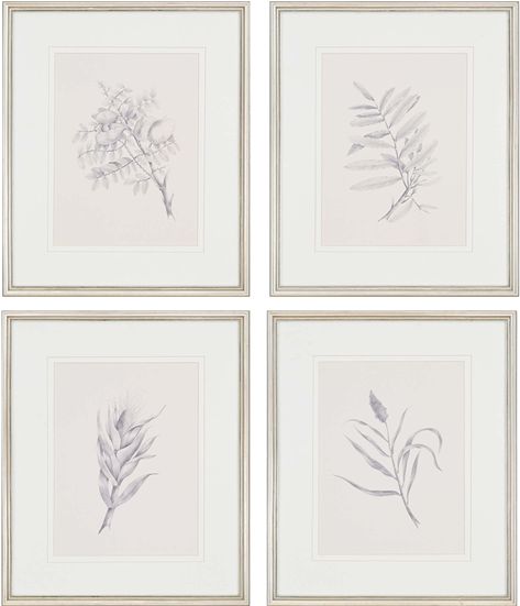 Foliage Pk/4 - Sketch (550x550), Png Download