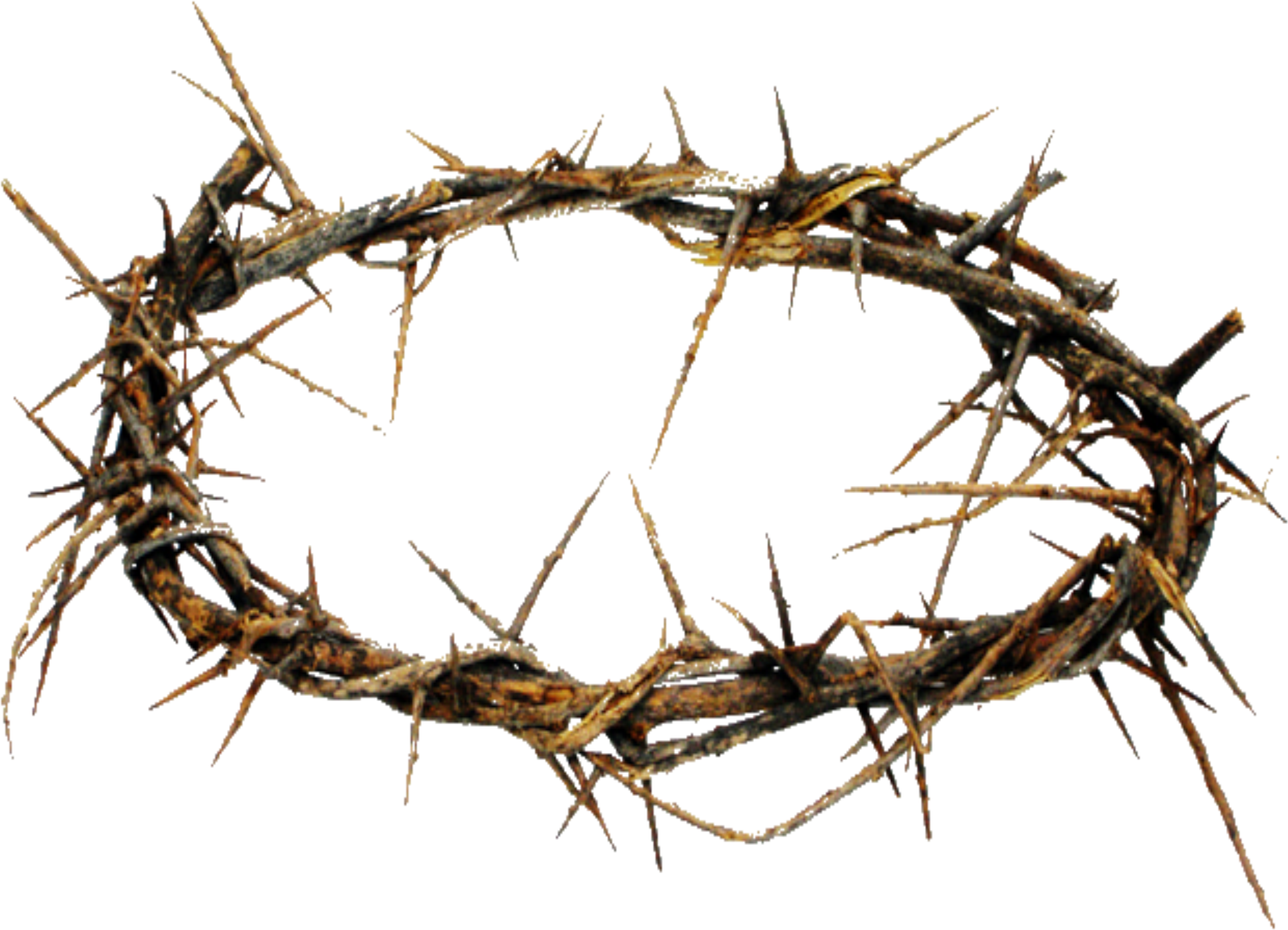 Crown Of Thorns Png Hd Transparent Crown Of Thorns - Corona De Espinas Png (2942x2171), Png Download