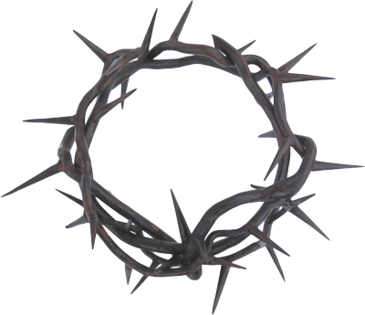 Vector Images Thorncrown - Crown Of Thorns Psd (400x345), Png Download