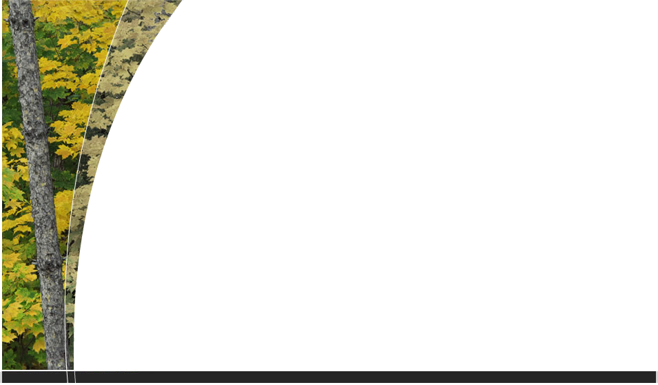 American Foliage (955x559), Png Download