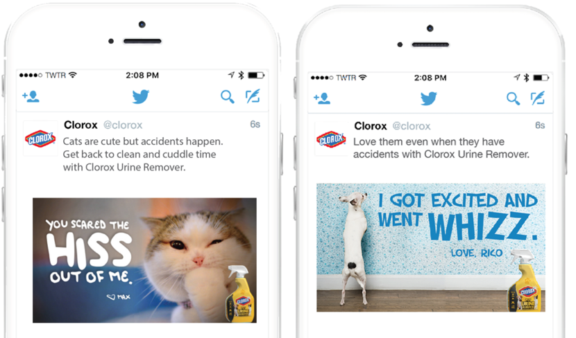 Clorox Twitter Ads Martha Lees - Domestic Short-haired Cat (1000x500), Png Download