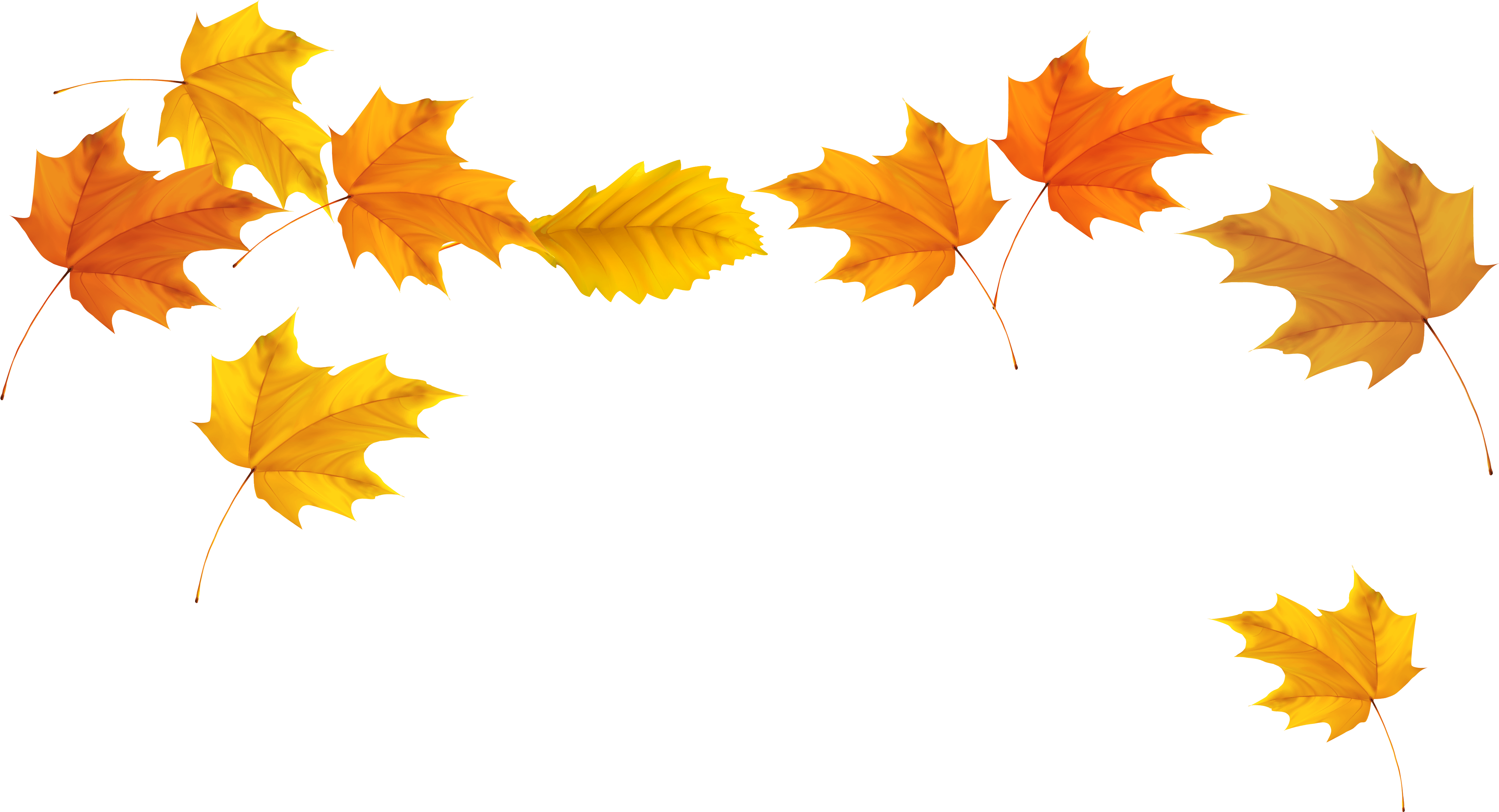 Handmade Watercolor Autumn Fall Yellow Ginkgo Leaves - Watercolor Fall Leaf Png (5094x2822), Png Download