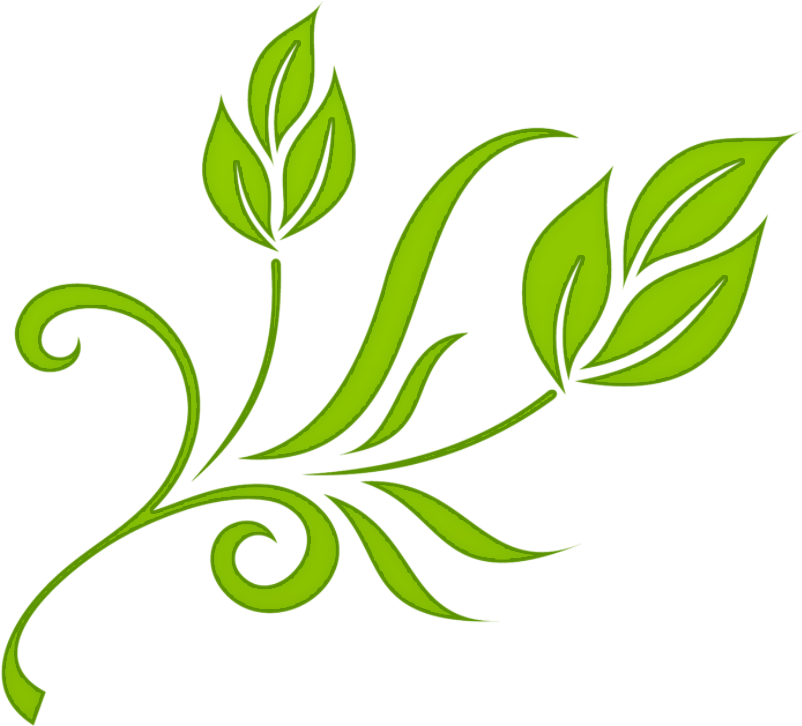 Floral Download Png Image - Ornament Banner (1024x768), Png Download