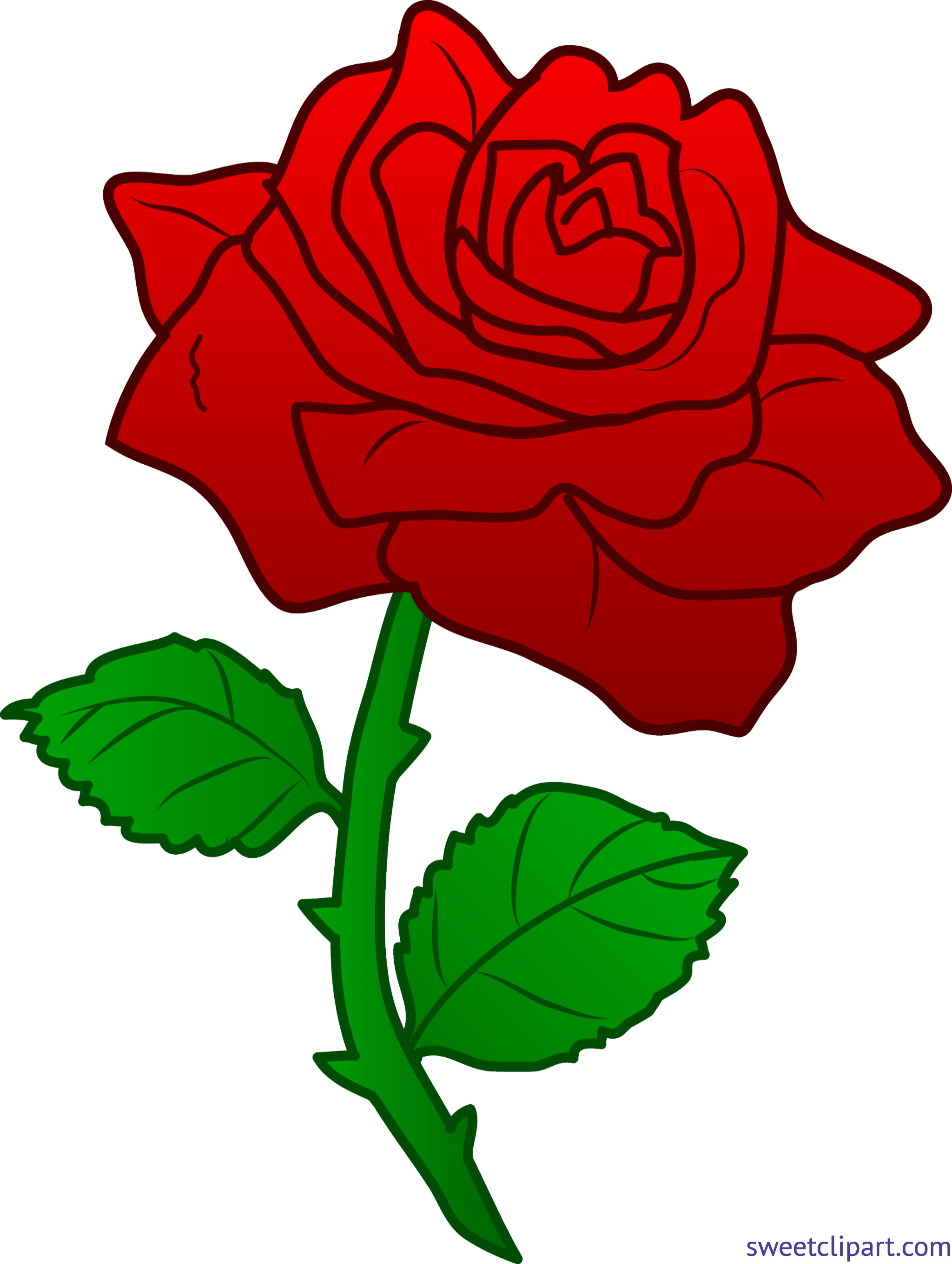 Crown Of Thorns Images - Clipart Of Rose (4481x5947), Png Download