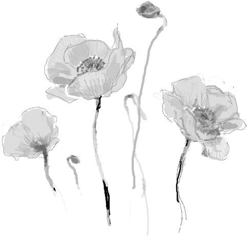 Dead Flowers Tumblr Png (500x488), Png Download