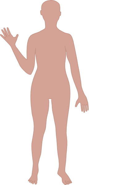 Human Cartoon Full Body (408x598), Png Download