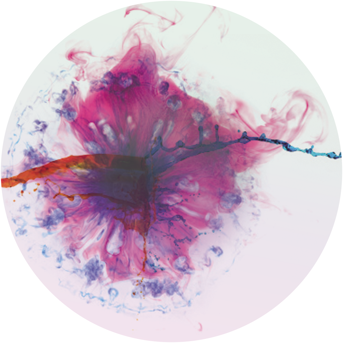 Brand - Water (1095x1095), Png Download