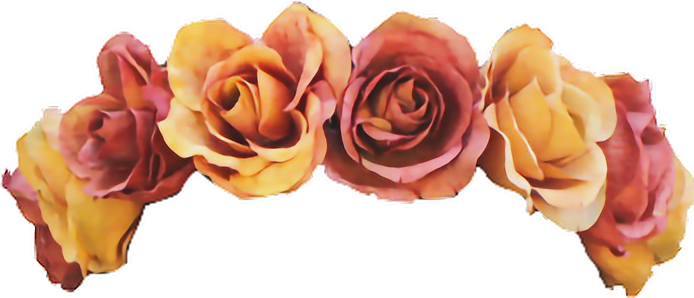 Yellow Transparent Flower Crown Download - Flower Crown Cut Out (1376x592), Png Download