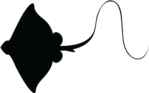 Stingray Clipart Silhouette - Stingray Silhouette Transparent (494x355), Png Download