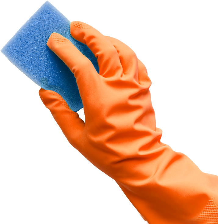 Sponge (722x743), Png Download