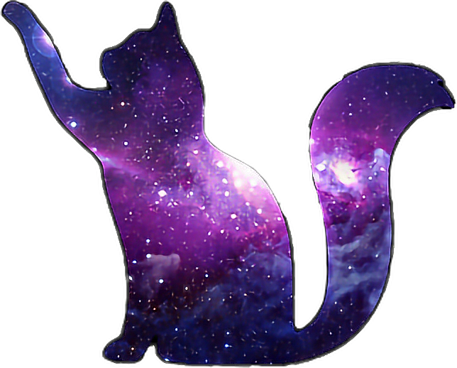 Purple Cat Scpurple Galaxy Cat Galaxycat Blue Freetoedi - Purple Galaxy Cat (644x518), Png Download