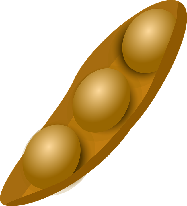 Pin Seeds Clipart Soybean - Soybean Clipart (652x720), Png Download