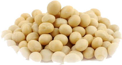 We Read Or Hear Different Opinions About Soy, Some - Salamander99 2x Moritaya Tofu Yogurt Pack (tama No (454x340), Png Download