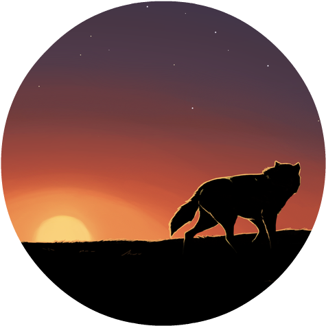 Wolf At Sunset Wallpaper By Brie91-d4gqklq - My Little Pony: Friendship Is Magic Fandom (900x507), Png Download
