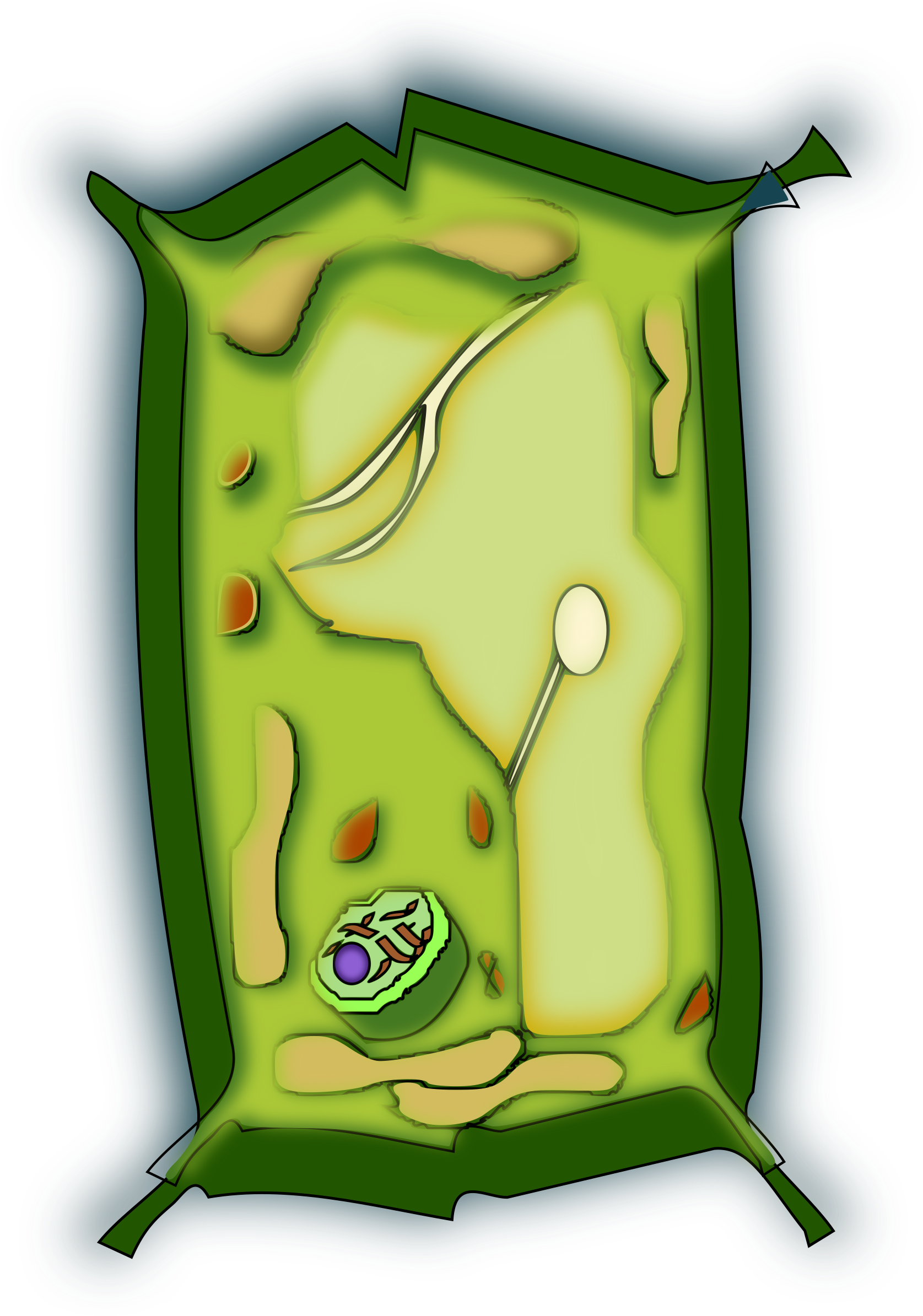 This Free Icons Png Design Of Celula Vegetal (1692x2400), Png Download