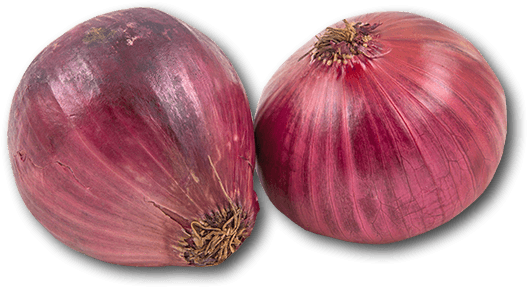 Australia Red Onion - Red Onion (600x600), Png Download