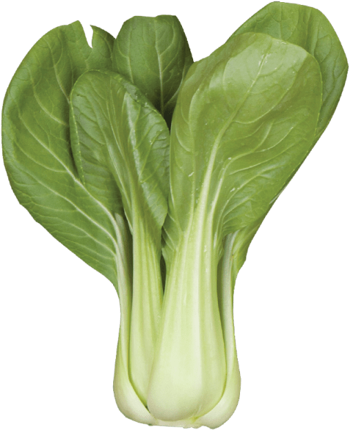 Baby Bok Choy - Spring Greens (640x640), Png Download