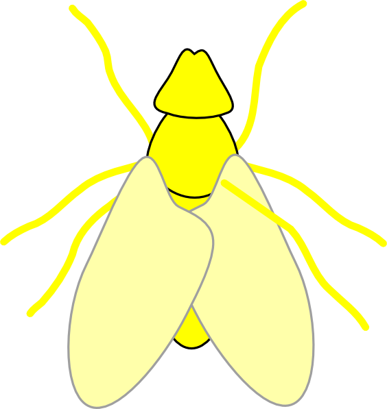 Symmetry Clipart Lightning Bug - Clip Art (564x597), Png Download